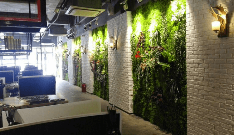 Tổng hợp thảm cỏ trang trí tường được ưa chuộng hiện nay
