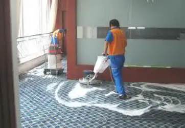 Vệ sinh thảm thường xuyên để phòng bệnh