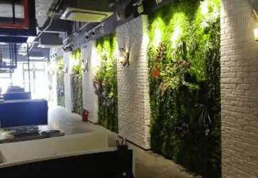 Tổng hợp thảm cỏ trang trí tường được ưa chuộng hiện nay
