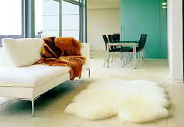 Phòng khách giản đơn nên chọn loại thảm nào?