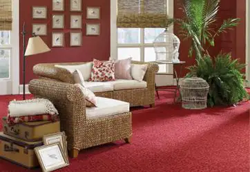 Thảm Trải Sàn một màu giá rẻ cho mọi nhà