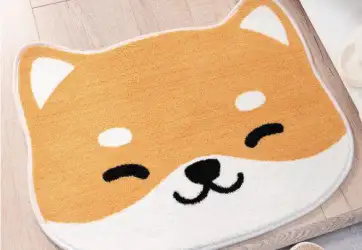 Tổng hợp mẫu thảm chùi chân trên thị trường hiện nay