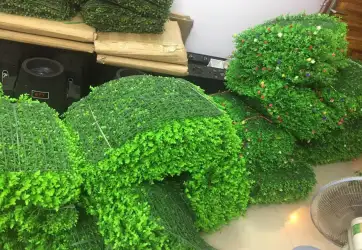 Cách trang trí không gian phòng bằng thảm cỏ hiện nay