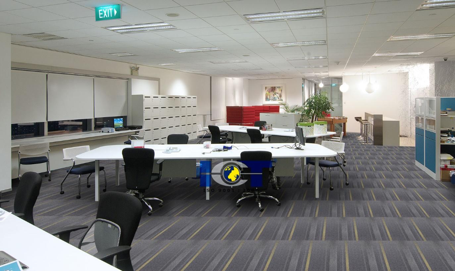 Thảm văn phòng sang trọng, hiện đại