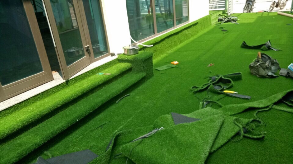 Thảm cỏ xanh mát cho sân vườn