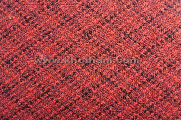 Tham-trai-san-my-0651