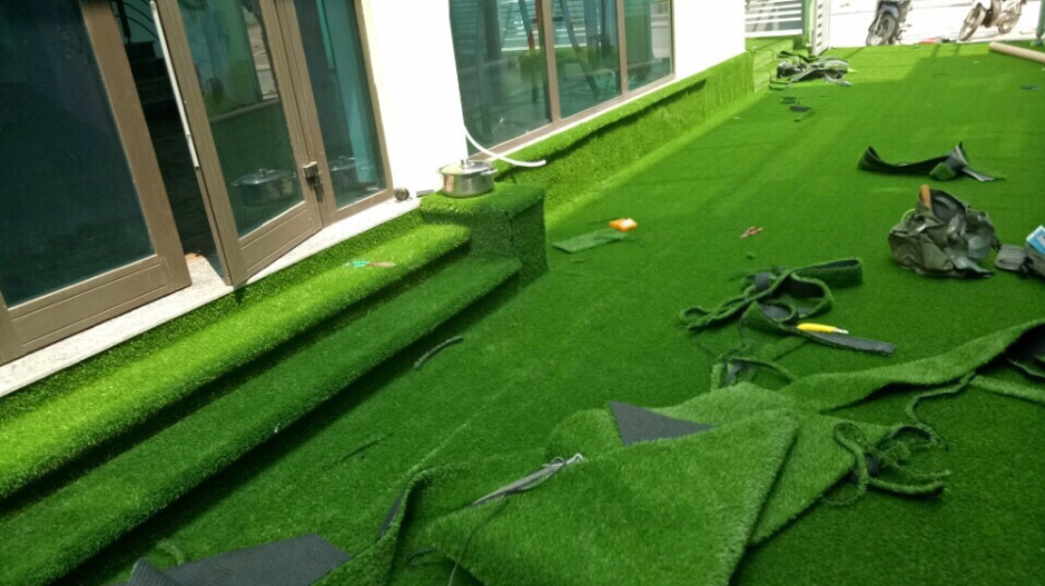Thảm cỏ tai chuột trang trí tường