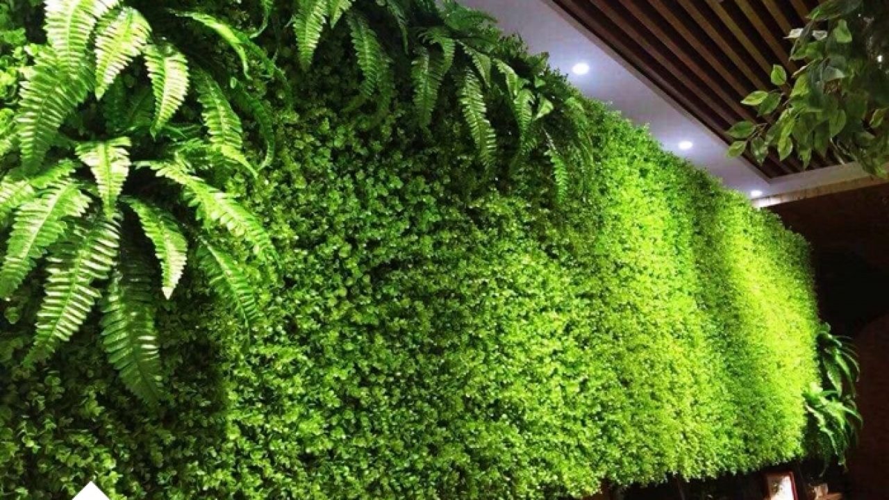 Thảm cỏ trang trí tường cho không gian xanh mát